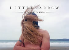 Introducing: Little Arrow (plus free download of Paddy Fields)